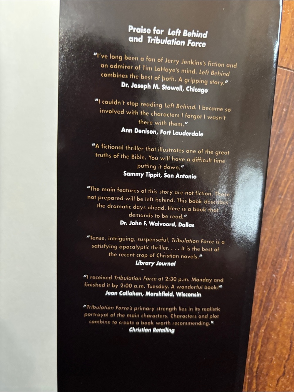 2Book Bundle by Tim LaHaye & Jerry B. Jenkins - Picture 7 of 10